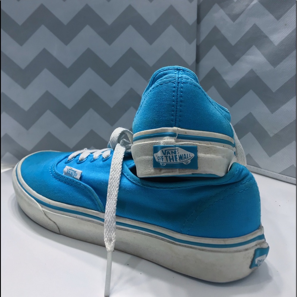 Vans Classic Skate Shoe